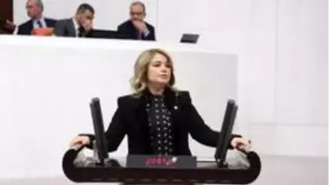 AK Parti'li vekilden CHP'li vekile havaalanı cevabı