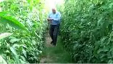 Erdemli Belediyesi üretici ve esnaflara ücretsiz e-ticaret eğitimi verecek