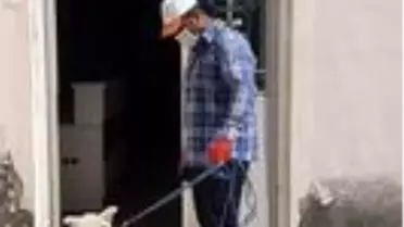 Hayvan sever başkan yaralı köpeği tedavi ettirdi