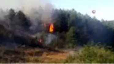 Kastamonu'daki orman yangını söndürüldü