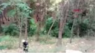 HATAY Baba ile 7 yaşındaki kızı, ayrı ilçelerde ağaca iple asılı halde ölü bulundu