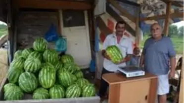 Yetiştirdiği organik karpuzları yol kenarında satıyor