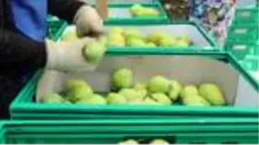 Çiftçiler Suriye'ye 4 yardım tırı gönderdi - BURSA