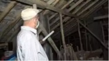 Yarasalar çatıya yuva yaptı, binadakiler korona korkusu yaşıyor
