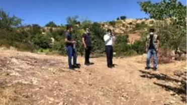 'Hayvan dostu' projesi hayata geçiriliyor