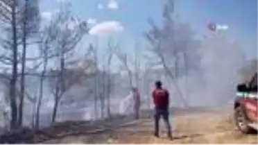 Son dakika haberi | Manavgat'ta aynı saatlerde dört ayrı noktada orman yangını