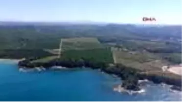 Son dakika haber... Kocaeli Helikopterle sahiller denetlendi