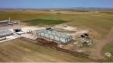 Kangalların genetik yapısı çipli takiple korunacak