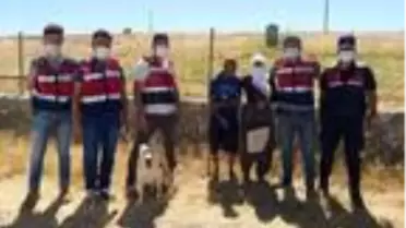 Son dakika gündem: Elazığ'da kaybolan zihinsel engelliyi jandarma 3 saatte buldu