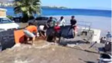 Son dakika gündem: Bodrum'da yine su borusu patladı; denizin rengi değişti