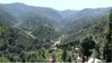 Rize'de 3 köy karantinaya alındı