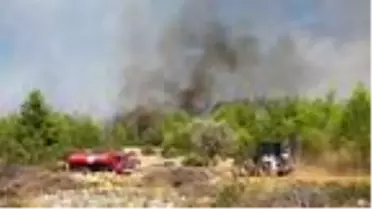 Son dakika haberi | Antalya'da orman yangını (2)- Yeniden