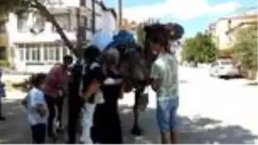 Burhaniye'de 'Mehterli, develi' sünnet düğünü