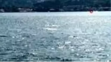 32. Boğaziçi Kıtalararası Yüzme Yarışı tamamlandı