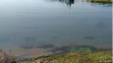 Balık tutmaya gittiği barajda boğuldu