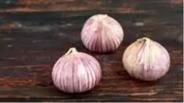 Koronavirüse direnç gösteren sarımsağın ihracatı durduruldu