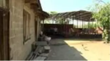 Kadın çiftçi hayallerine 'uzman ellerle' ulaştı