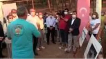 Tedavi edilen 4 caretta caretta ile 25 yavru denizle buluştu