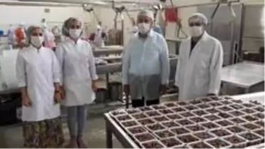 Kardelen Bursa'ya değer katıyor