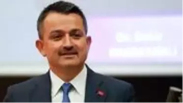 Bakan Pakdemirli'nin açıkladığı kuru üzüm alım fiyatı üreticiyi sevindirdi