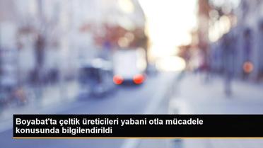 Boyabat'ta çeltik üreticileri yabani otla mücadele konusunda bilgilendirildi