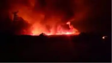 Ankara'da orman yangını