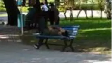 Kent dışından gelenler, Adana'nın sıcağına dayanamadı