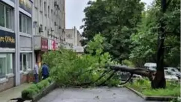 Maysak tayfunu Rusya'yı vurdu