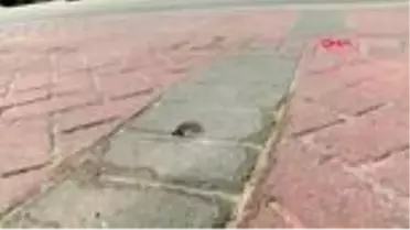 Son dakika haber! Ankara'da mahalleyi tarayan profesör, serbest bırakıldı