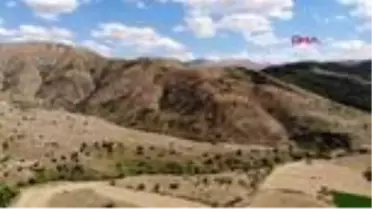 BAYBURT Bayburt balında sağım başladı