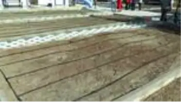 Bodrum'da 7 bin yıllık ata tohumları toprakla buluştu