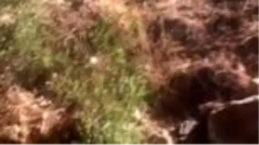 Bodrum'da atık suyun doğaya boşaltıldığı iddiası