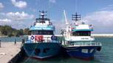 Kastamonulu balıkçılar 'kestane karası fırtınası'ndan sonra palamudun artmasını bekliyor