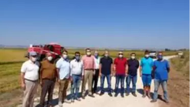 Biga'da çeltik hasadı yapıldı
