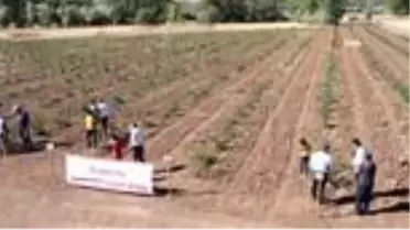 Bakanlık hibesiyle dikilen kuşburnular ilk meyvelerini verdi