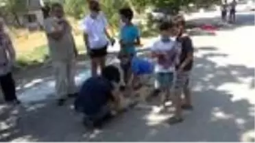 EDİRNE Zehirlendiği iddia edilen köpeklerin sahibinden afişli tepki