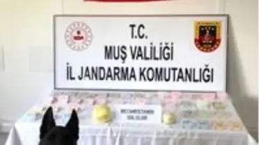 Muş'ta uyuşturucu operasyonu: 4 gözaltı
