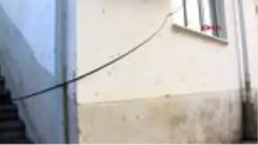 EV VE AĞAÇLARA DADANAN TIRTILLAR, ÇİFTÇİNİN KABUSU OLDU