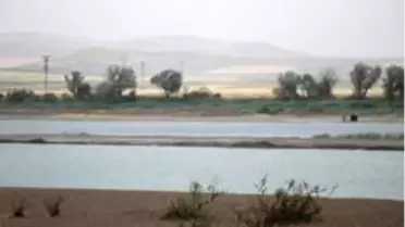 Serinlemek için girdiği Kızılırmak'ta akıntıya kapılarak kayboldu
