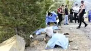 Anne ve kızı, kuşburnu toplarken yıldırım düşmesi sonucu öldü