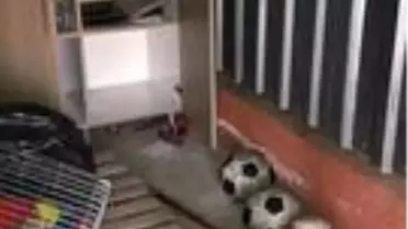 Aydınspor'a hırsız şoku