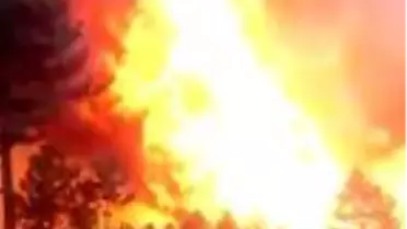 Çorum'da orman yangını sürüyor