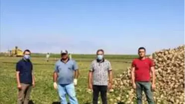 Yeşilhisar'da pancar hasadı başladı