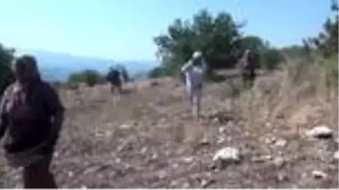 Kırda yetişen çitlembik, kadınların gelir kapısı oldu