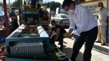 Başkan İnal, zeytin üreticilerini yalnız bırakmadı