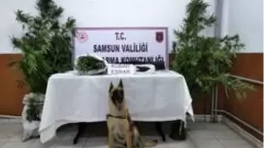 Son dakika haber... Jandarmadan uyuşturucu operasyonu