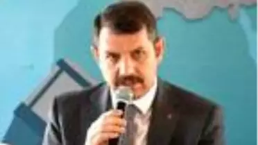 Vali Ayhan: 'Anadolu aslanı' tartışması iki köpeğin de reklamı oldu