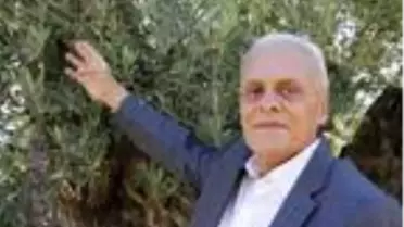 Akdeniz'de zeytinin 'yok yılı'