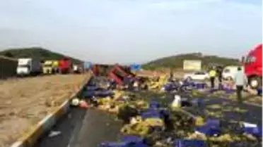 Tırın dorsesi devrildi, yol üzüm tarlasına döndü