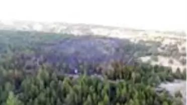 Kütahya'da orman yangını erken müdahale ile kontrol altına alındı (Drone + Aktüel)